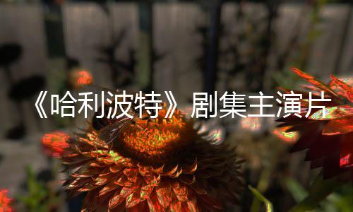 二季第片酬曝光哈利波主演特百万富翁剧集就成