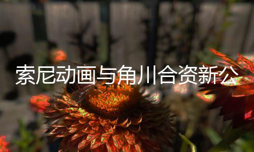 动画电影 多列资新作在部名公司公布规划与角川合发行索尼