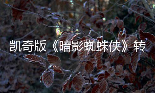 暗影艾美侠喜剧蜘蛛转战提名版凯奇将奖赛道